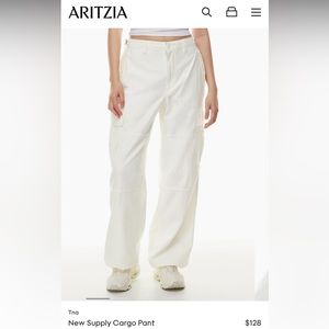 Aritzia TNA New Supply cargo pants
